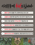 유기농 황칠진액 황칠나무진액 전통차 액상차 자연원료 진액 부모님선물 5포, 1개 : 영농조합법인 한나수목원