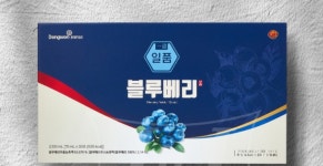 약국용 동원천지인 일품 블루베리 30포+KF94마스크 : 메디포어스