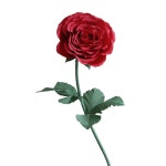 자이언트 플라워 장미 DIY 자이언트플라워재료 파티 벽 종이 : 차이굿