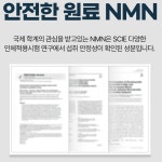 엔엠리테일 | 프리미엄 고함량 리포좀 NMN 3개월분 엔엠엔 니코틴산아미드 효 : 타운리테일