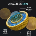 엔엠리테일 | 프리미엄 고함량 리포좀 NMN 3개월분 엔엠엔 니코틴산아미드 효 : 타운리테일