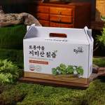 성진우 토종마을 지리산 야생 칡즙 국내산 칡 농축액 90ml 60포 : 찜케어