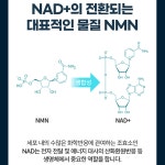 엔엠리테일 | 프리미엄 고함량 리포좀 NMN 3개월분 엔엠엔 니코틴산아미드 효 : 타운리테일