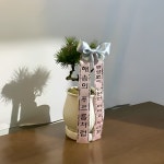 곰솔 소나무 분재 승진 개업 추위에 강한 해송 : 솔가든