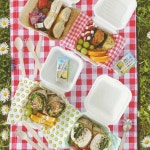 일헌 피크닉 2세트 포장팩 도시락패키지 샌드위치용기 : 일헌몰