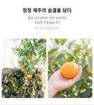고당도 제주산 특산품 감귤 : 욱이의 쇼핑몰