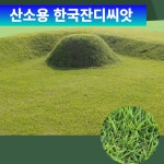경신 한국 들잔디씨앗10g 산소 정원용 금년 신제품 : 광림아그로