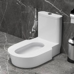 낮은 화장실 변기 공중 일체형 농촌 푸세식 재래식 양변기 욕실 : 루미나크5555