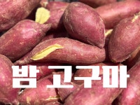 [농장직송] 해남 밤 고구마 : 나오팜