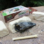 사파리 주식회사. 디노 덱스터 공룡 장난감 소녀, 소년, 키트 현실적인 어린이를 발굴 위한 치아 6+ 티렉스 : 콩샵스튜디오