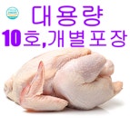 [대용량]국내산 생닭10호 통닭 개복 반각 4각 15각 17각 19각 23각 찜닭 도리탕 : 장천식품