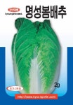 명성봄배추 1000립 : 라파팜스