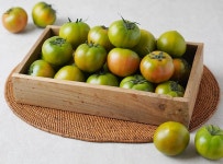 부산 대저 짭짤이 토마토 환불보장 농장직송 대저토마토M, 2.5kg, 1개 : 동식컴퍼니