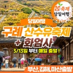부산출발 2026 구례 산수유축제 + 화엄사 당일여행 삼성투어 : 부산삼성투어
