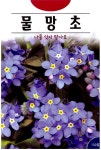 물망초 150립 물망초씨 씨앗 꽃씨 다년생 종자 : 공구 우먼