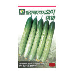 일성백다다기 오이(흑침) 50립 다농 흑침계 반백오이 과채류 씨앗 종자 농사 가정원예용 텃밭 주말농장 : 풍곡영농자재
