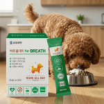 하루올데이 강아지 기관지 반려견 영양제 감기 협착증 카제로템 : 하루올데이