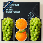 [수플린] 프리미엄 샤인머스켓2입&한라봉1입&천혜향1입 과일선물세트 총 1.9KG 이상 : 수플린