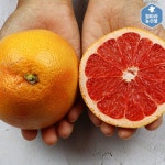 고당도 자몽 수입산 레드자몽 : 철따라농산물