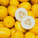성주 꿀 참외 가정용 못난이 프리미엄 참외 2kg : 킹스몰코리아