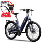 26년 사전예약 세그웨이 마이온 전기자전거 myon 자전거도로주행가능제품 15ah 500W : 와이제이모터스