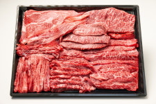 1++ 투뿔 마장동 한우 1kg 모듬 세트 꽃등심 소고기 명절 설 추석 선물세트 600g : 손수맛찬