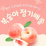 [산지직배송] 영덕 복숭아 정기배송 : 영덕도화농원
