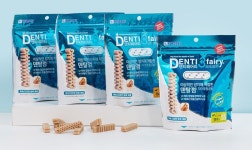 포켄스 덴티페어리 S 65g, 1개 : 숭구리댕댕