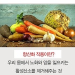 더쎌에스테틱 | 경성제약 더맥스쎌파워 비타민E함유 500mg 항산화 혈행개선 영양제 42캡슐 : 메디컬허브팜