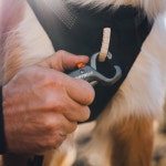 러프웨어 리드줄 릿지라인 리쉬 핸즈프리 강아지리드줄 : 댕댕상회스토어