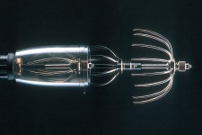 다이 이치 정공 갸프 오토 킹 갸프 L 레드 32095 오징어 블루 에깅 낚시 : HITMEUPstore