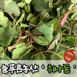 산지직송 하동 노지 취나물 2kg, 1개 : 산지직송 늘푸른농산