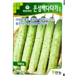 은성백다다기 100립 오이씨앗 : 중앙종묘농약사