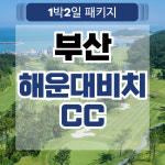 3월 부산 해운대비치CC 1박2일 골프패키지 : 골프여행닷컴 국내골프