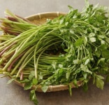 향긋한 청도 미나리 삼겹살 제철 생미나리 산지직송 특품 신선 1kg 가정용채소 : -로또상회-