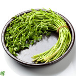 청도 미나리 산지직송 제철 생미나리 신선포장 당일수확 봄 200g : 열혈파머