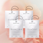 [1+1] 더클래스 퍼퓸 사쉐 차량용 방향제 피치바흐 20g : THECLASS 더 클래스