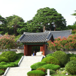 [리무진] 낭만가득 벚꽃 여행 강릉 경포대 벚꽃 축제 오죽헌 강릉중앙시장 당일 : 로망스투어