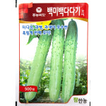 백미백다다기 500립 오이씨앗 : 중앙종묘농약사