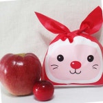 레드토끼 5장 보자기포장 선물봉지 보자기봉투 : 웰빙4