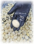 국내산 공주밤 깐밤 특대 조각밤 500g 1kg 실속형 산지직송 손질완료 무방부제 : 유수농장이야기