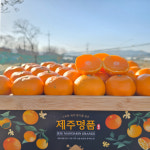 제주 감귤 노지 카라향 타이백 타이벡 비가림 하우스 밀감 10kg 5kg 제철과일 : 올레식탁