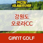 원주 오로라cc 리조트 1박2일 패키지 : 국내 해외골프 부킹예약센터