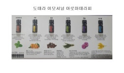 도테라 이모셔널 아로마테라피 6종 : 더초이스몰