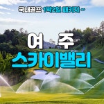 3월 여주 스카이밸리CC 1박2일 골프패키지 : 골프여행닷컴 GO매니저