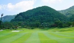 도심에서 가까운 편안한 숲 속의 휴식처 여주골프장 스카이밸리cc : 골프어때 이동현실장