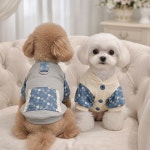 강아지 외출복 청자수 자켓 애견 산책용품 : 아르르독