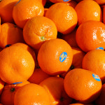 큐티스 만다린 2kg 3kg 5kg : 세모농.