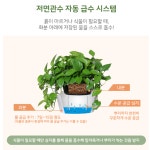다육이화분 자동급수 저면관수 미니 인테리어 화분 : 다람조니샵