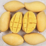 태국 망고 고당도 수입 생과 2kg 4-6과 : 달로마켓